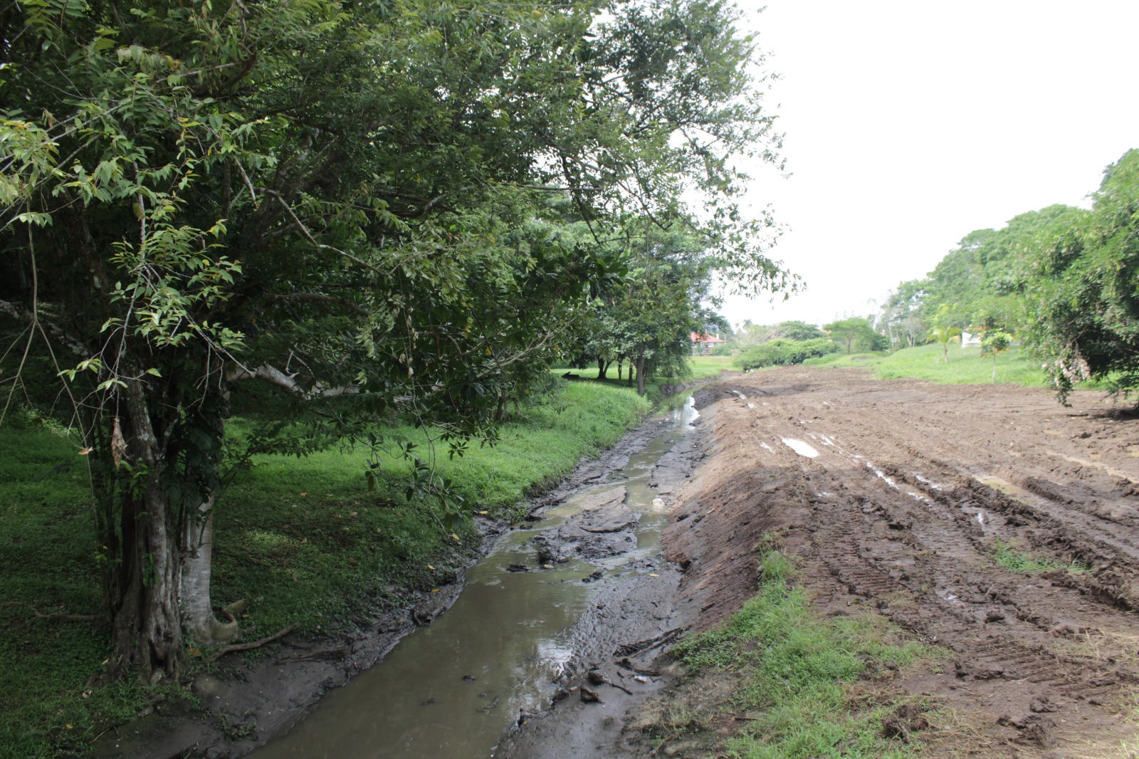 MOP recupera el cauce de los canales del Paseo de la Iguana, Albrook | Salvador Herald